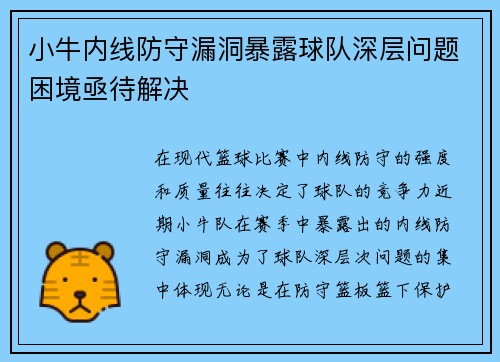 小牛内线防守漏洞暴露球队深层问题困境亟待解决